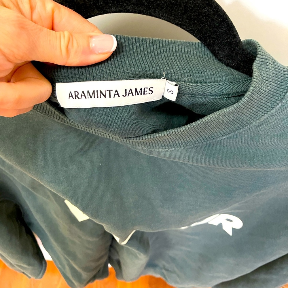 NWOT Araminta James Sweatshirt - Picture 3 of 4